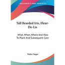 Tall Bearded Iris, Fleur-De-Lis: What, When, Where And How To Plant And Subsequent Care
