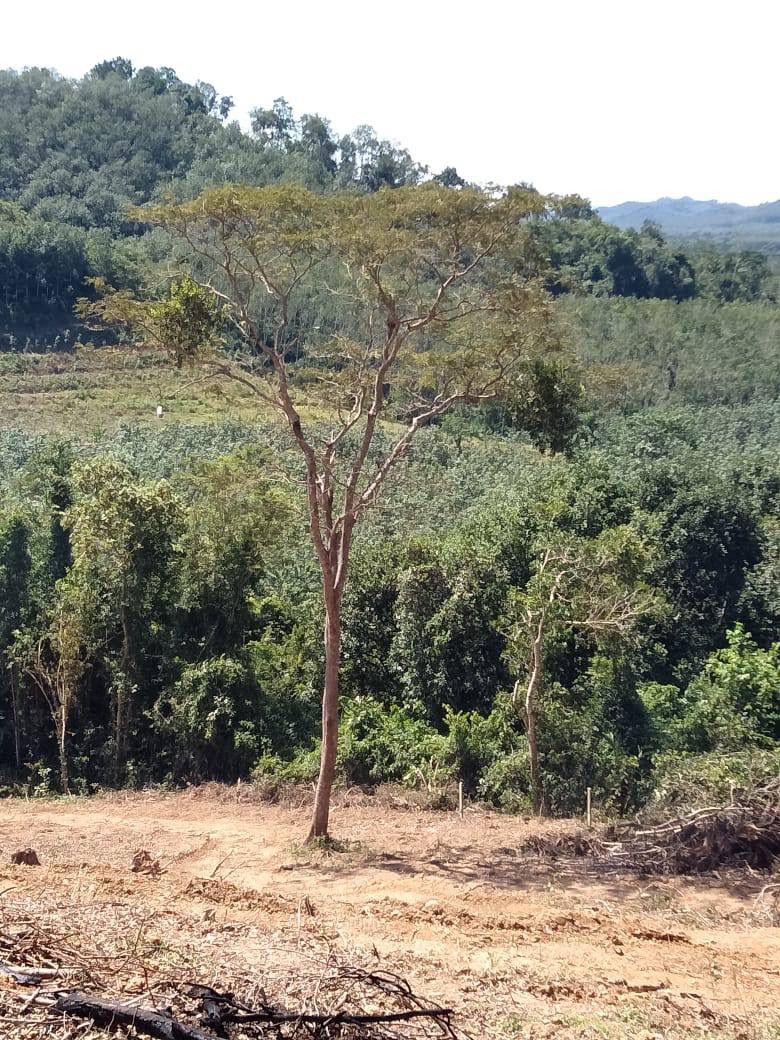 Tanah Padang Terap Kedah 270k