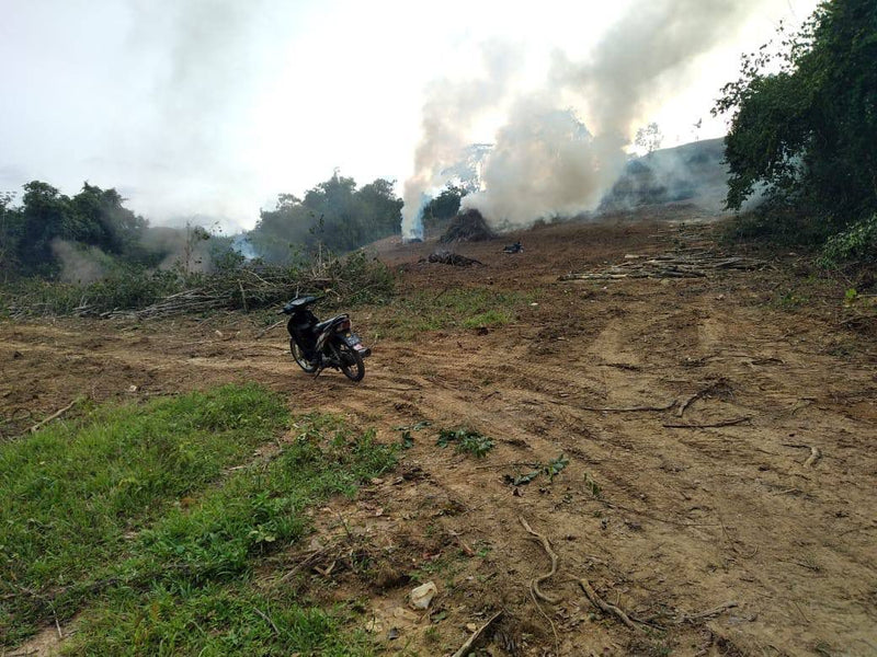 Tanah Padang Terap Kedah 270k