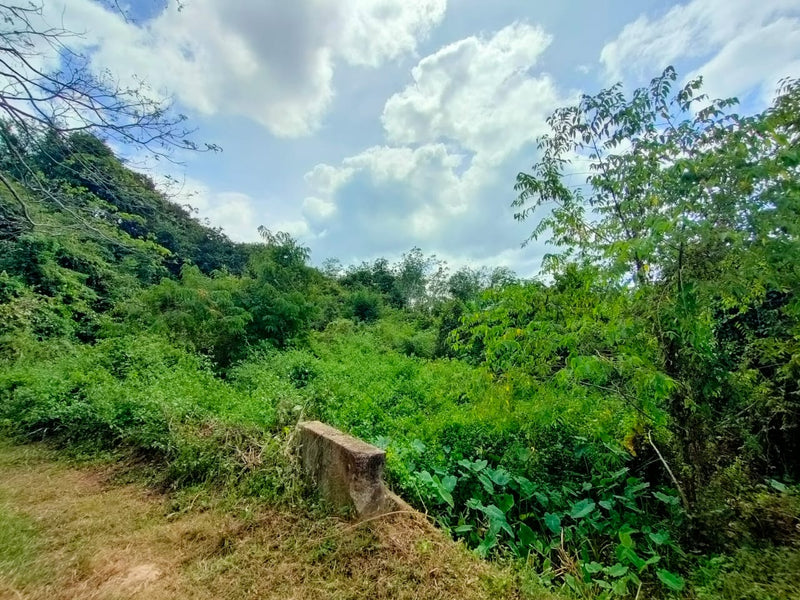 Tanah Kampung Cherok Keladi 175k