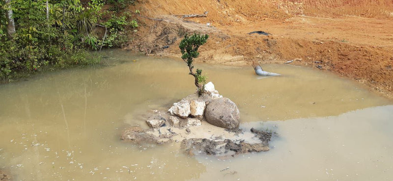 Tanah Bandar Baharu Kedah