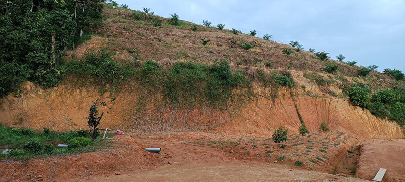 Tanah Bandar Baharu Kedah