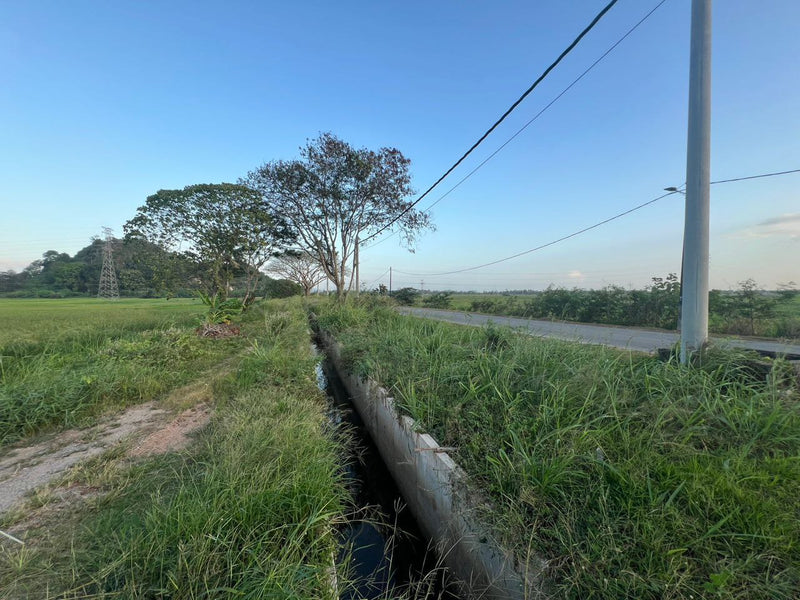 Tanah Bendang Ngulang Perlis