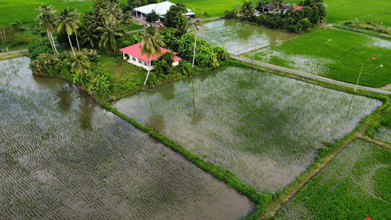 Tanah Bendang Kuala Perlis