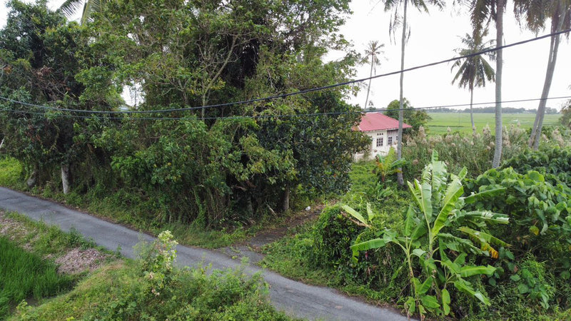 Tanah Bendang Kuala Perlis