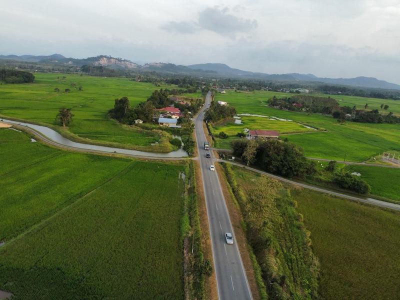 Tanah Bendang Jalan Utama Arau Perlis