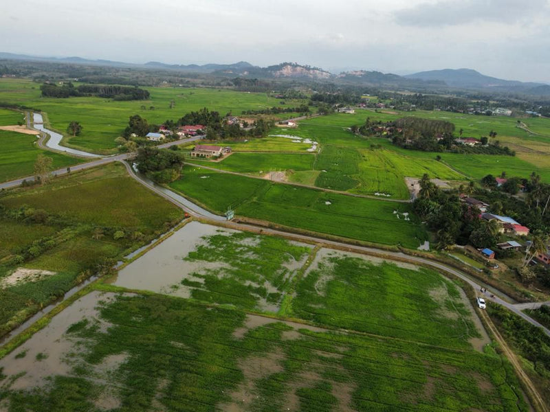 Tanah Bendang Jalan Utama Arau Perlis