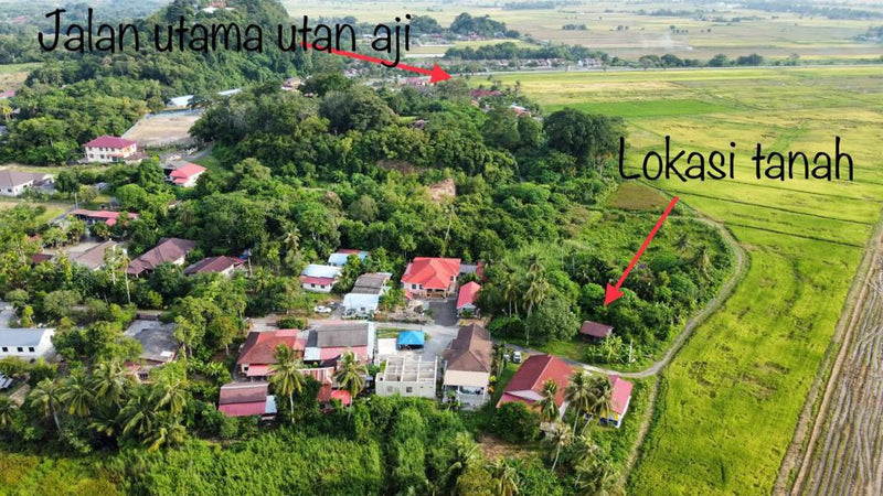 Tanah Kampung Nyior Manis Perlis