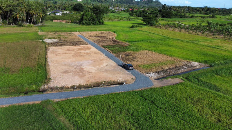 Tanah Status Bangunan Berseri Perlis