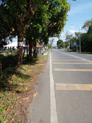 Tanah dan Sebuah Rumah Chuping Perlis