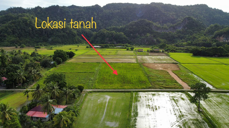 Tanah View Bukit dan Sawah Kurung Batang Perlis