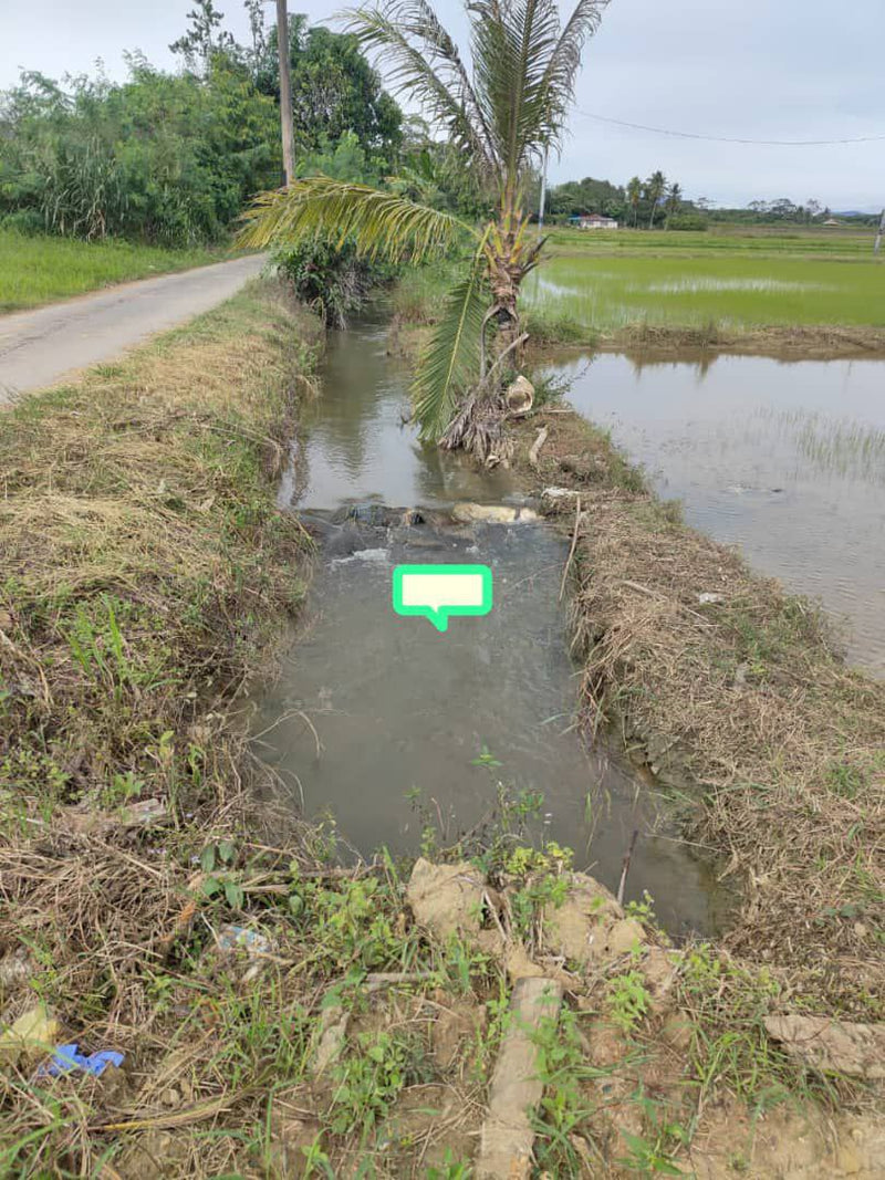 Tanah Bendang Guar Jentik Berseri