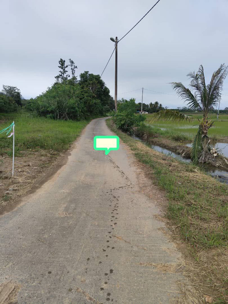 Tanah Bendang Guar Jentik Berseri