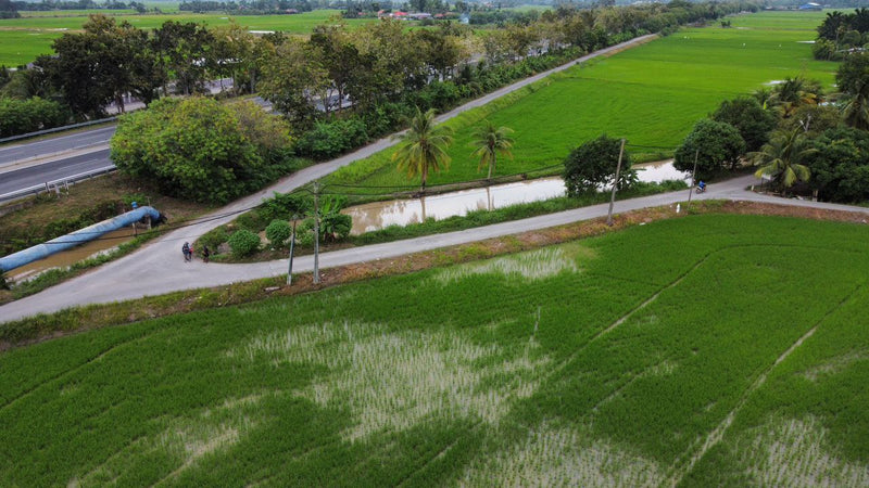 Tanah Bendang Setengah Relung Arau Perlis