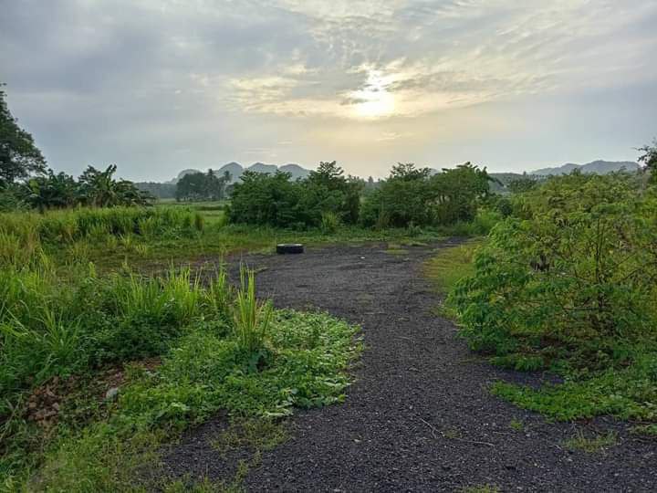 Tanah Bendang Siap Tambun Berseri