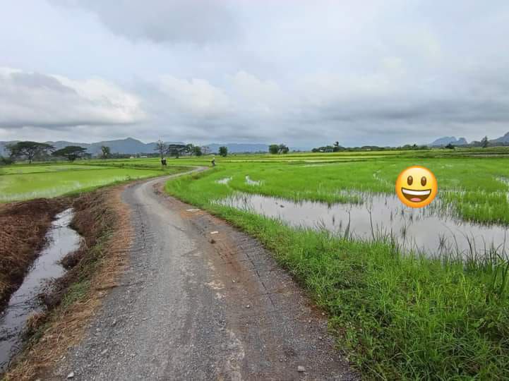 Tanah Bendang Kampung Paya Perlis