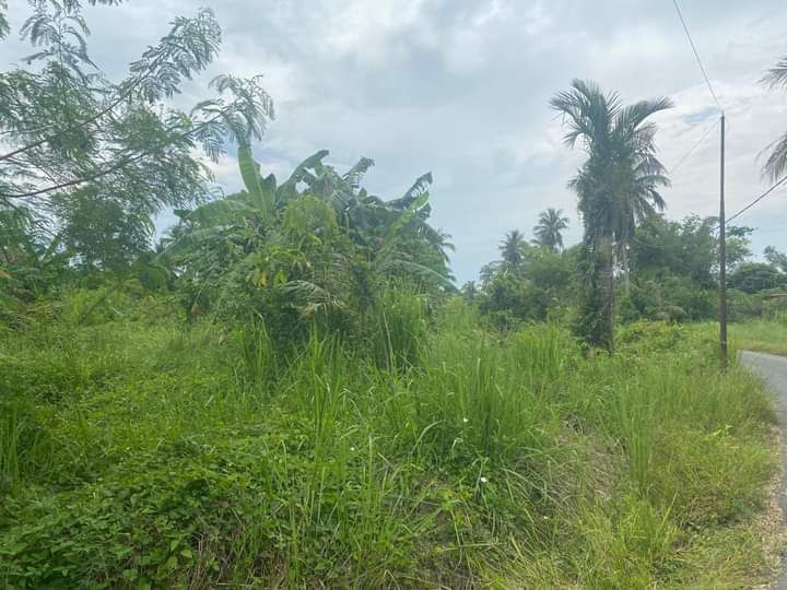 Tanah Kampung Abi Tok Hashim Perlis