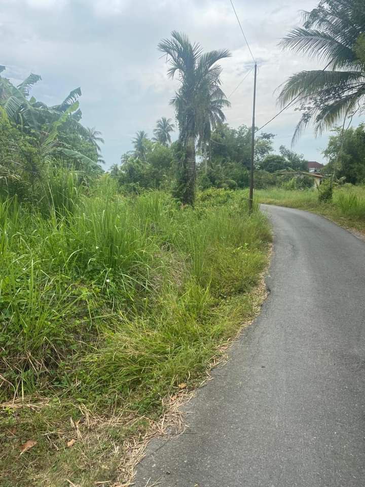 Tanah Kampung Abi Tok Hashim Perlis