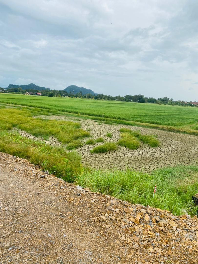 Tanah Wang Ulu Plot 7 dan 10 Kuala Perlis