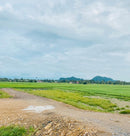 Tanah Wang Ulu Plot 7 dan 10 Kuala Perlis