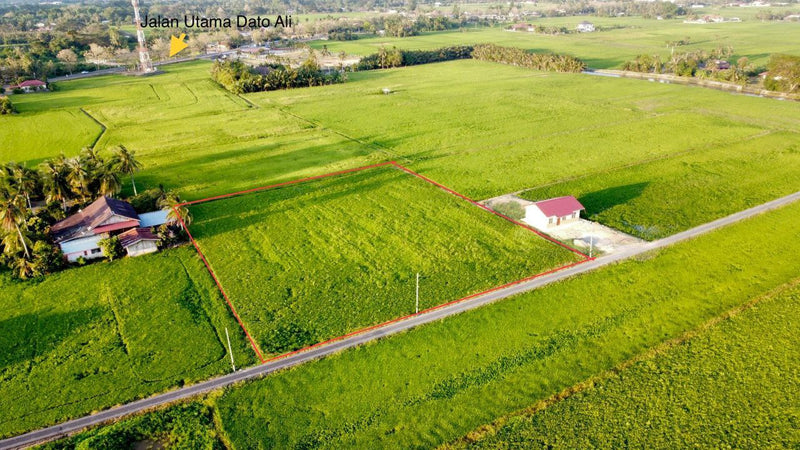 Tanah Bendang Untuk Dijual Jalan Tok Kuning Perlis