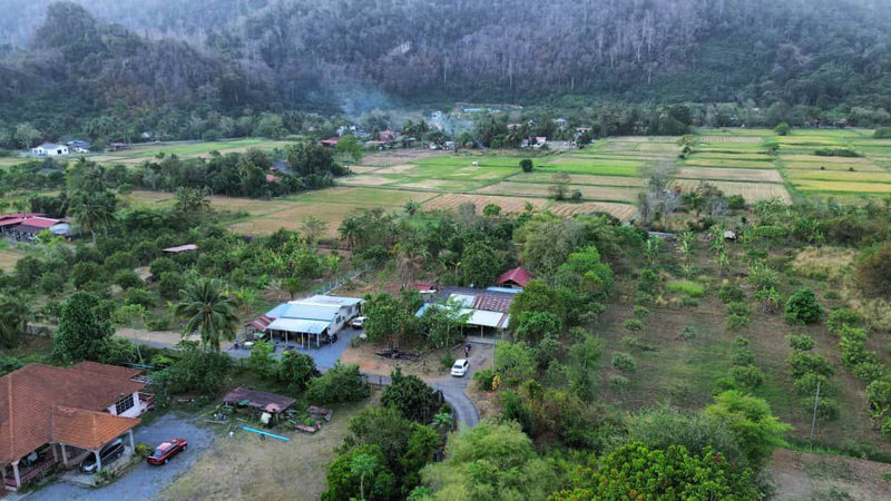 Tanah dan Rumah Teluk Syed Perlis