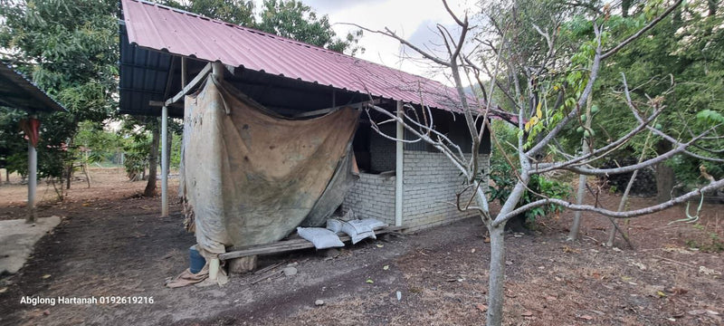 Tanah dan Rumah Teluk Syed Perlis