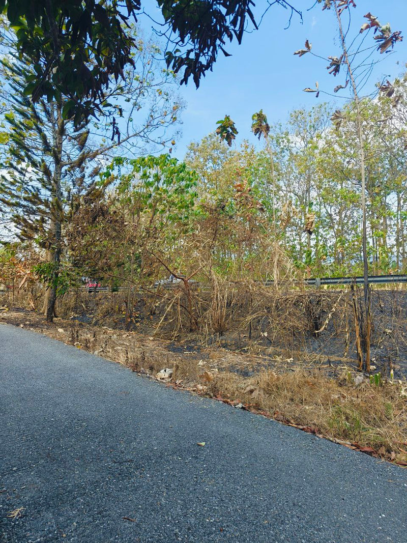 Tanah Tambun Kampung Wang Pisang Berseri