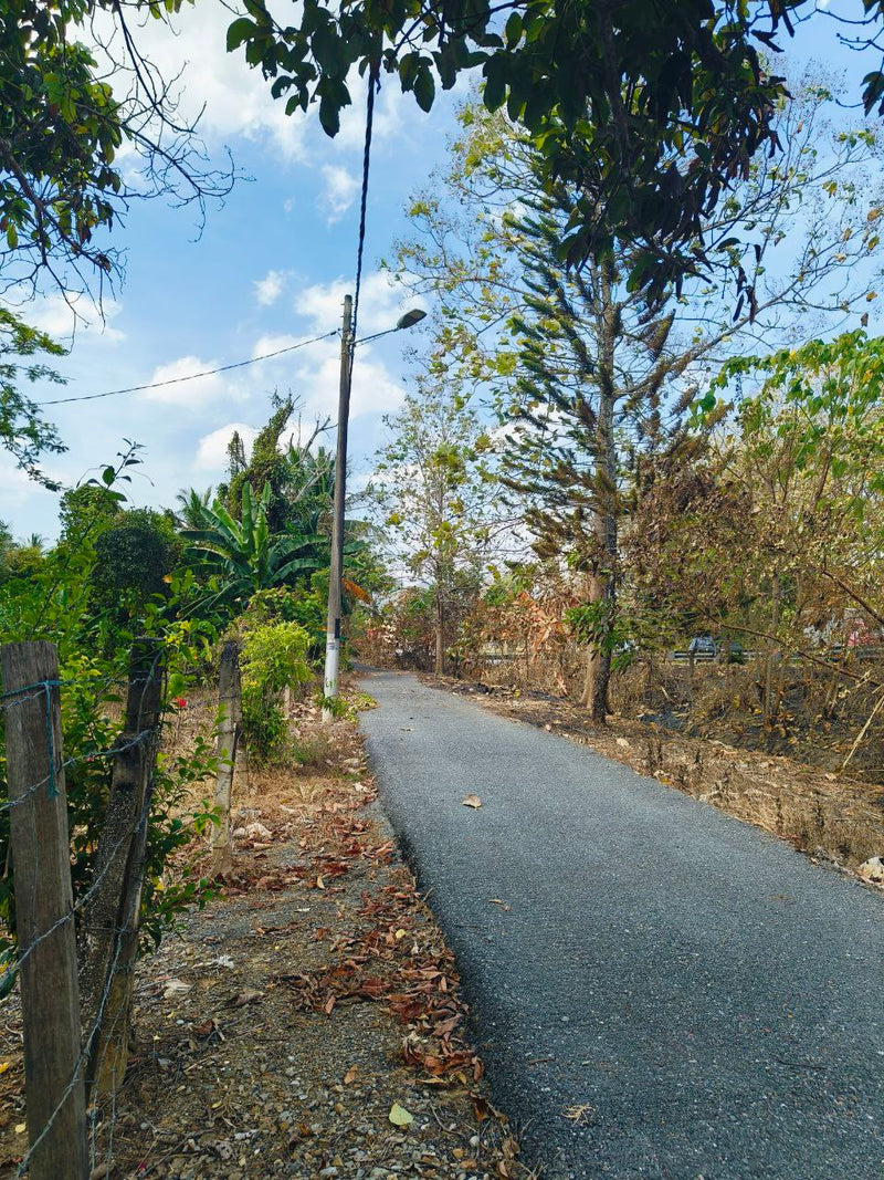 Tanah Tambun Kampung Wang Pisang Berseri