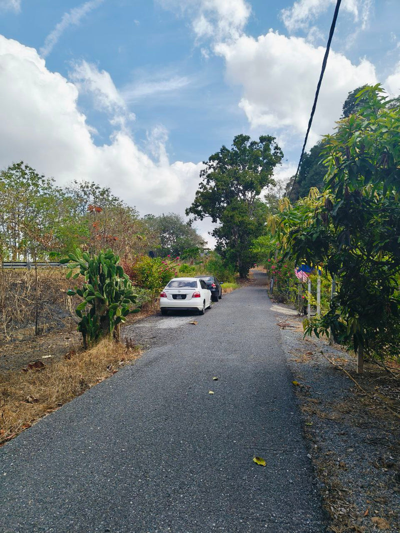 Tanah Tambun Kampung Wang Pisang Berseri