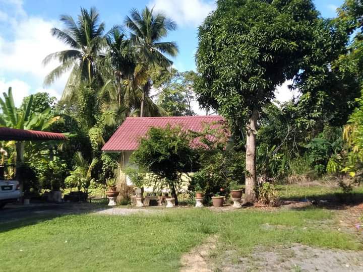 Tanah Tambun Kampung Wang Pisang Berseri