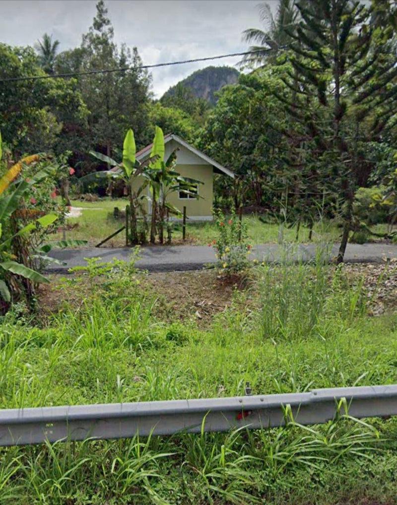 Tanah Tambun Kampung Wang Pisang Berseri