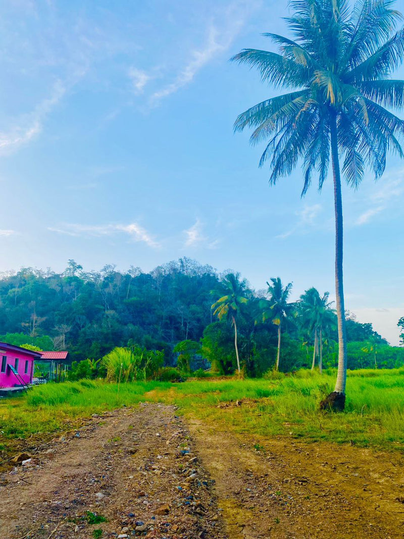 Tanah Kurong Batang Jalan Utama