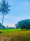 Tanah Kurong Batang Jalan Utama