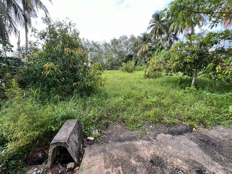 Tanah Kampung Padang Lati Perlis