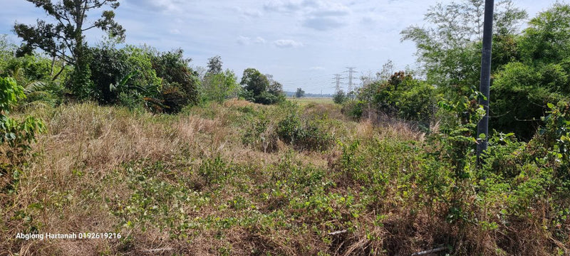 Tanah dan Rumah Kampung Alor Setar