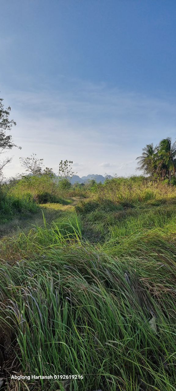 Tanah Kampung Chuping Perlis